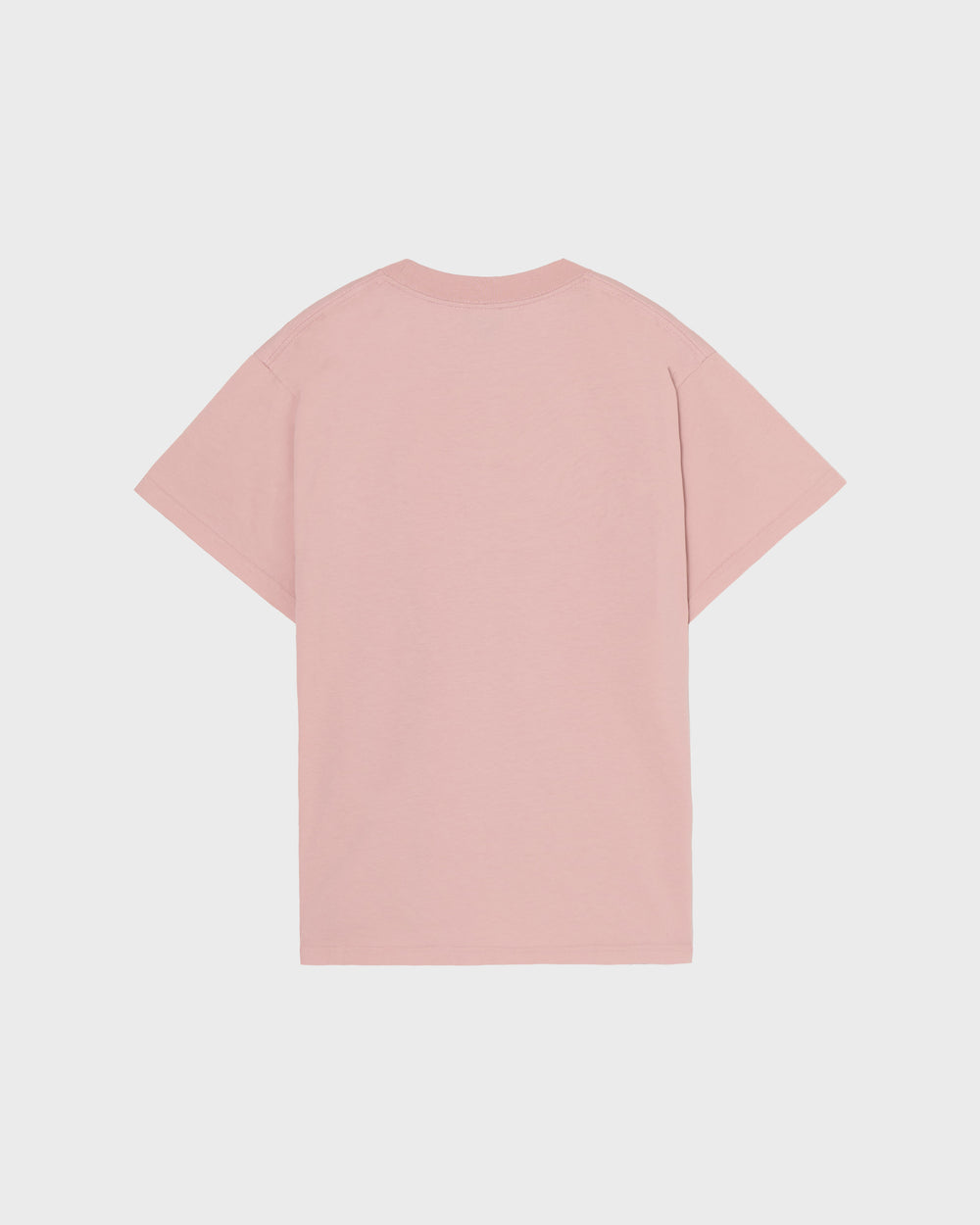 HOTARUBIレタリングTシャツTD × DB VY1