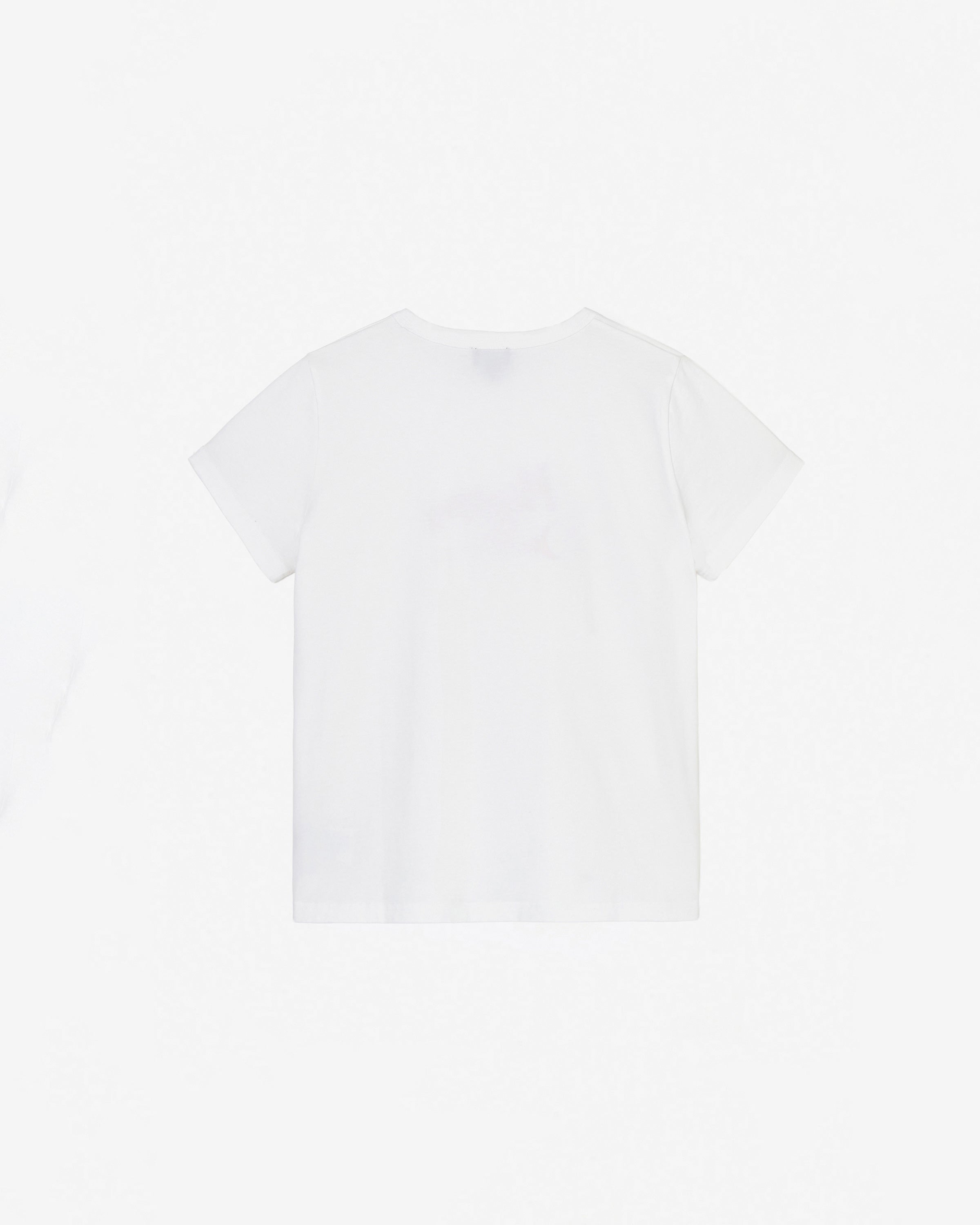 レタリングコットンTシャツTD × DB MD1